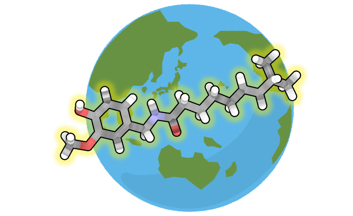 The World is Made of Molecules